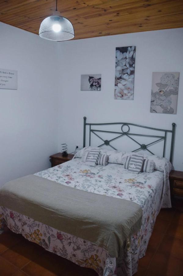 Apartamentos Loli Berga Ngoại thất bức ảnh